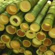 Bambus-stamm-zur-herstellung-von-Industrie-parkett